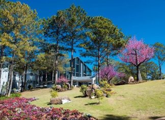 TOUR DU LỊCH ĐÀ LẠT – SÀI GÒN – VŨNG TÀU 7 NGÀY