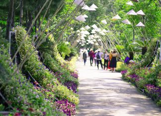 DU LỊCH NHA TRANG – VỊNH NHA PHU 3 NGÀY 2 ĐÊM