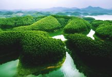 DU LỊCH MÙ CANG CHẢI – HỒ THÁC BÀ 3N2Đ
