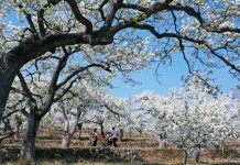 DU LỊCH HỒNG THÁI NA HANG KHOÁNG MỸ LÂM 3 NGÀY 2 ĐÊM Du lịch Hồng Thái Na Hang Khoáng Mỹ Lâm 3 ngày 2 đêm