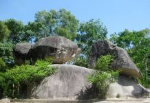 DU LỊCH SUỐI ẤU – SẦM SƠN 2 NGÀY 1 ĐÊM