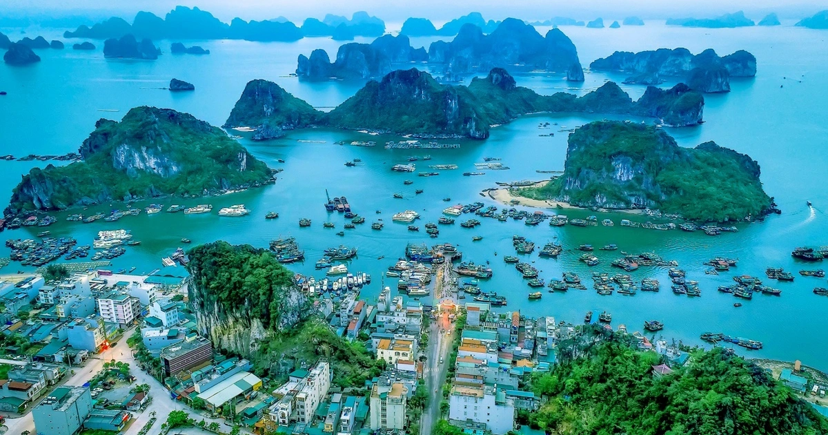 du lịch biển đảo Quảng Ninh 7 ngày 6 đêm