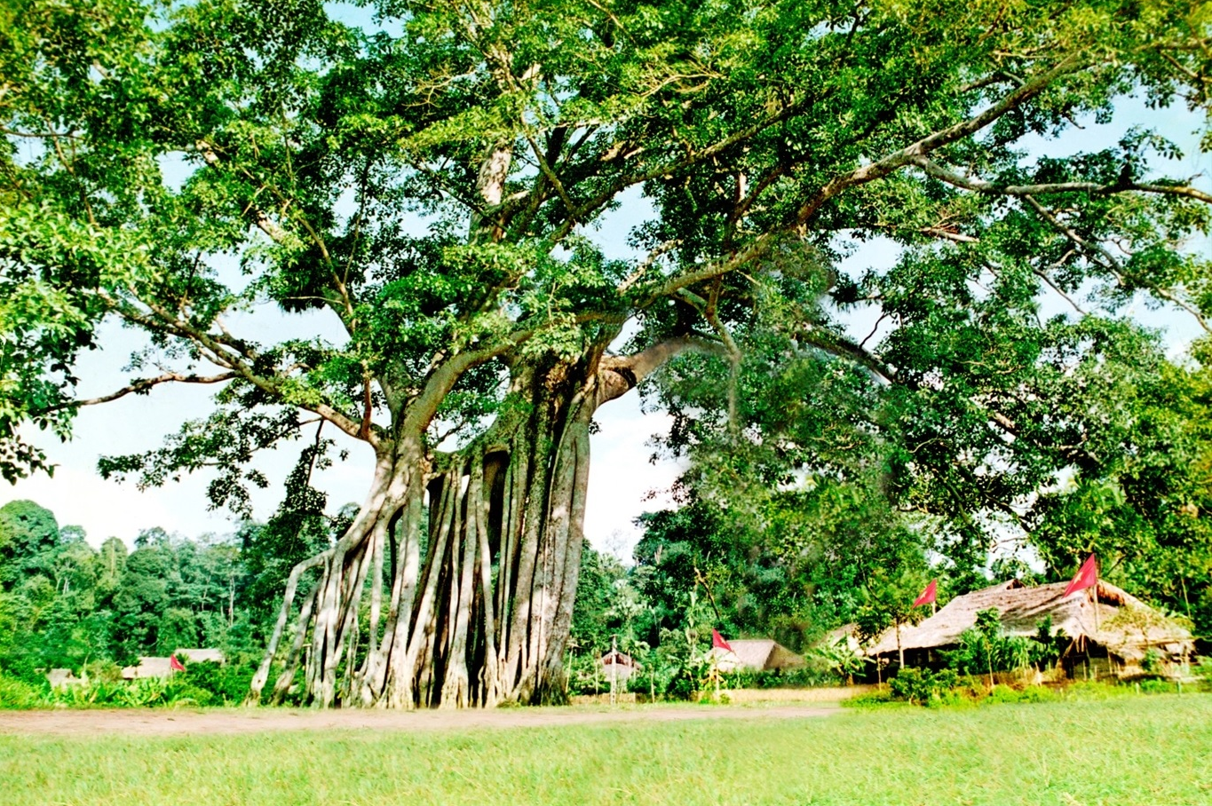 DU LỊCH HỒ THÁC BÀ – KHOÁNG NÓNG MỸ LÂM – TÂN TRÀO 2 NGÀY 1 ĐÊM