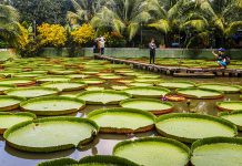 TOUR DU LỊCH MIỀN TÂY 7 NGÀY 6 ĐÊM