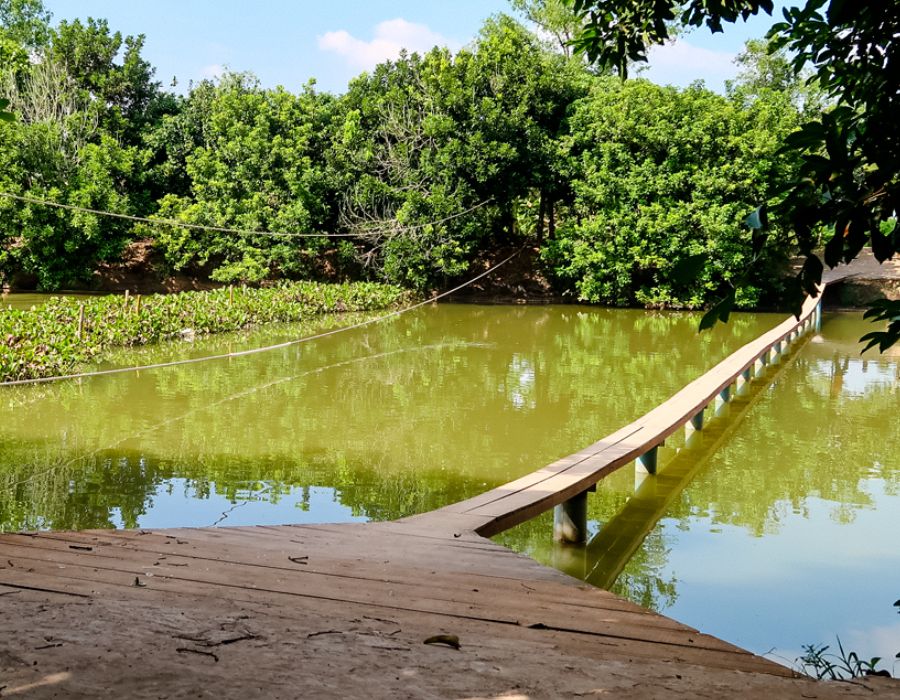 TOUR MIỀN TÂY 8 NGÀY 7 ĐÊM