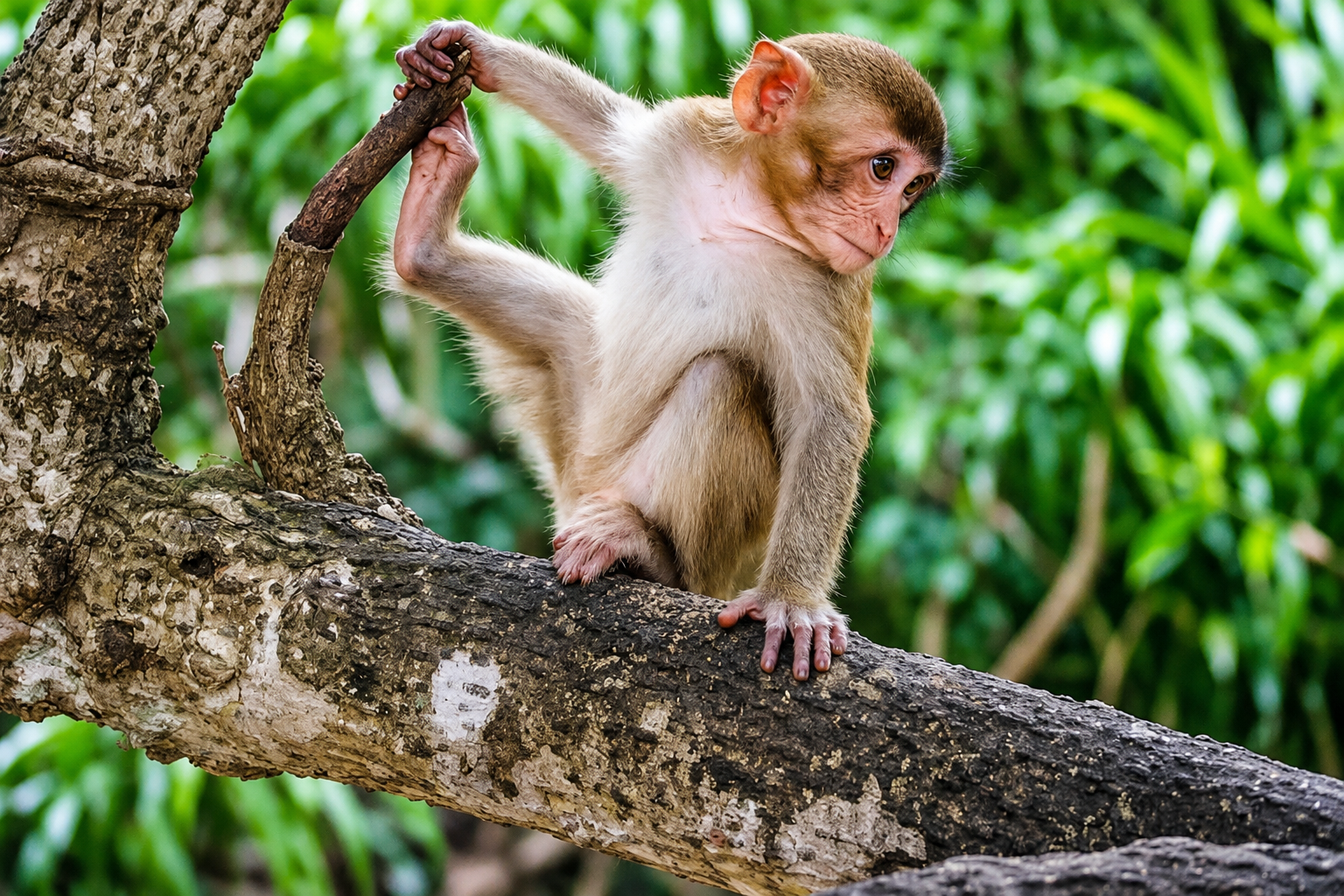 TOUR DU LỊCH CẦN THƠ – MIỀN TÂY – HỒ CHÍ MINH- 8 NGÀY 7 ĐÊM