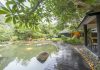 TOUR DU LỊCH MEDDOM PARK – KHOÁNG NÓNG KIM BÔI 1 NGÀY