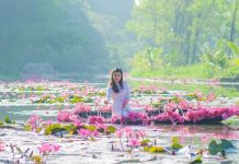 DU LỊCH SUỐI ẤU – BIỂN SẦM SƠN 3 NGÀY 2 ĐÊM