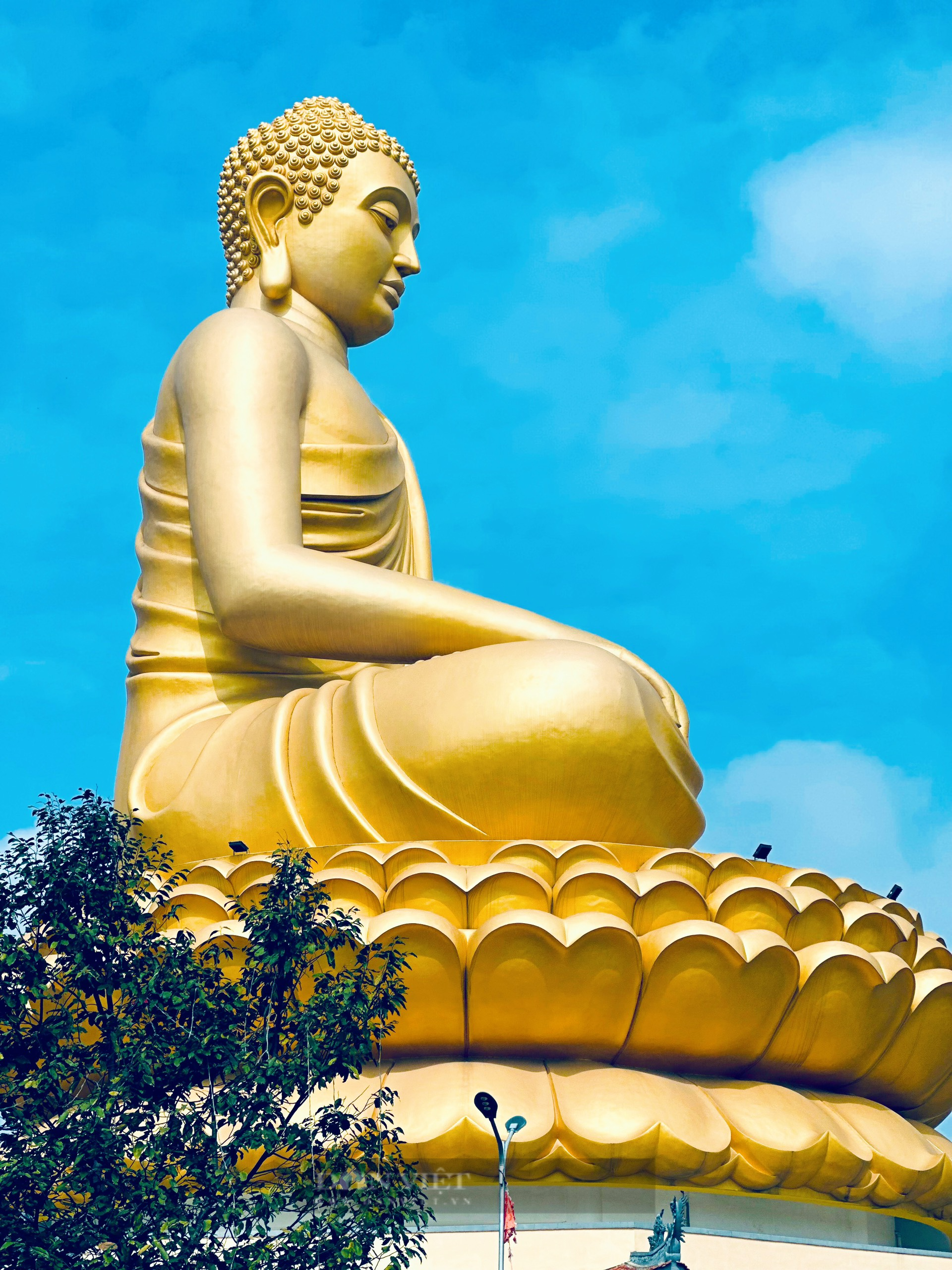 tpour miền tây 8 ngày 7 đêm 