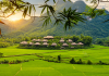 DU LỊCH THUNG LŨNG MAI CHÂU 2 NGÀY 1 ĐÊM
