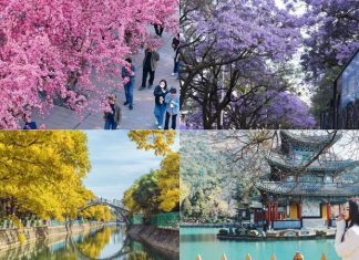 DU LỊCH ĐẠI LÝ – CÔN MINH 5 NGÀY 4 ĐÊM